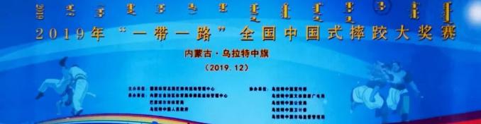 2020年全国中国式摔跤竞赛,2019年河南省中国式摔跤