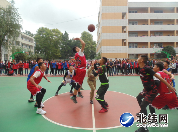 凝心聚力展风采拼搏进取创佳绩,凝心聚力绽放华彩