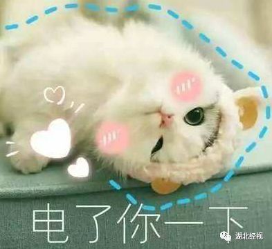 怎么去除静电不被电击,经常被静电到是怎么回事