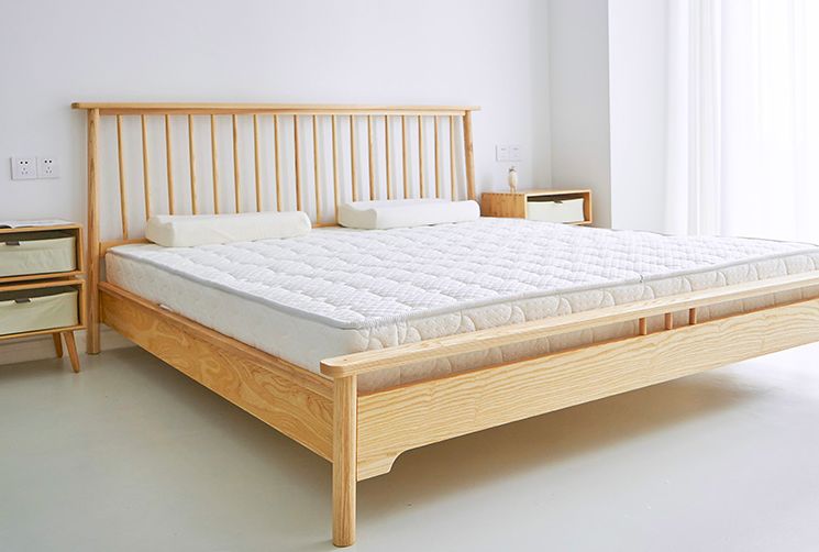 这个乳胶枕太强了！止鼾、防螨虫，全家适用的睡眠伴侣