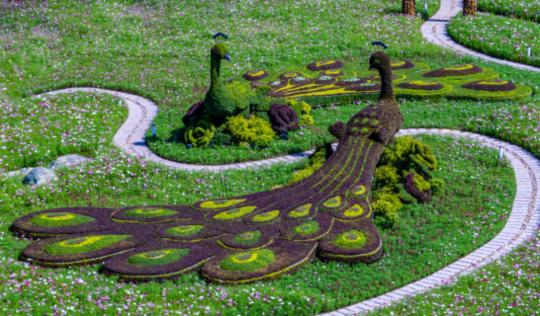 成都建设美丽乡村方案,成都大邑乡村振兴示范村