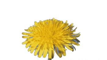 解锁“提肛运动”，肛肠、泌尿、生殖系统都会感谢你