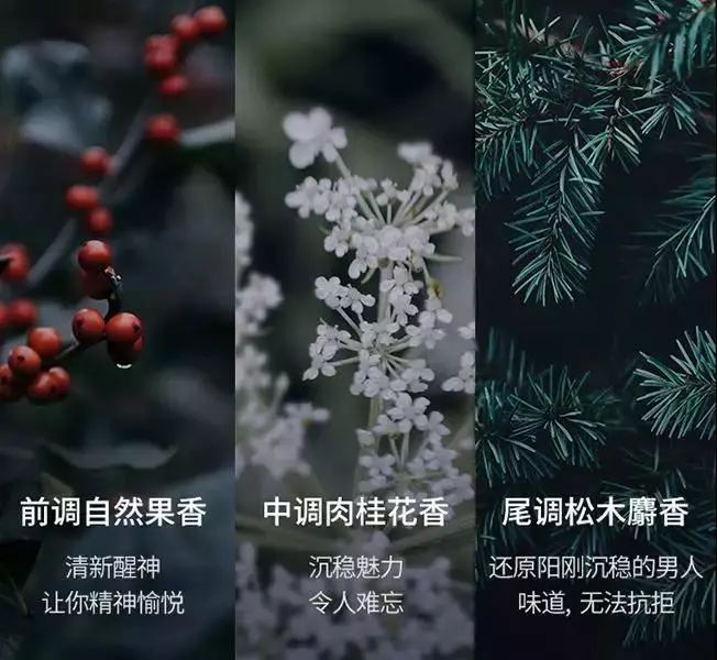 威士忌不盖瓶盖,威士忌不兑饮料