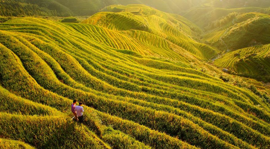 2020骞翠綑棰濆凡涓嶈冻,2019骞村凡浣欓涓嶈冻