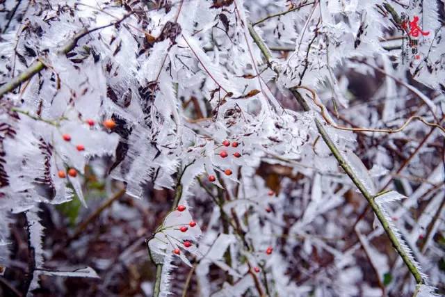 2020骞翠綑棰濆凡涓嶈冻,2019骞村凡浣欓涓嶈冻