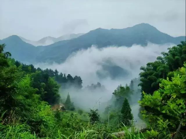 攀一座山看一场雪爱一个人,攀一座山看一场雪追一个梦图片