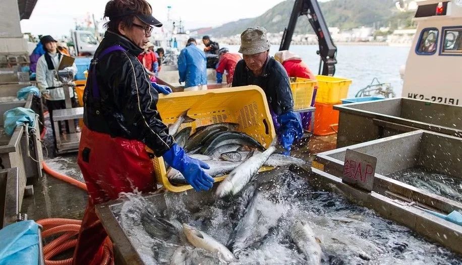 北海道是怎么成为日本的,北海道到底有多强大