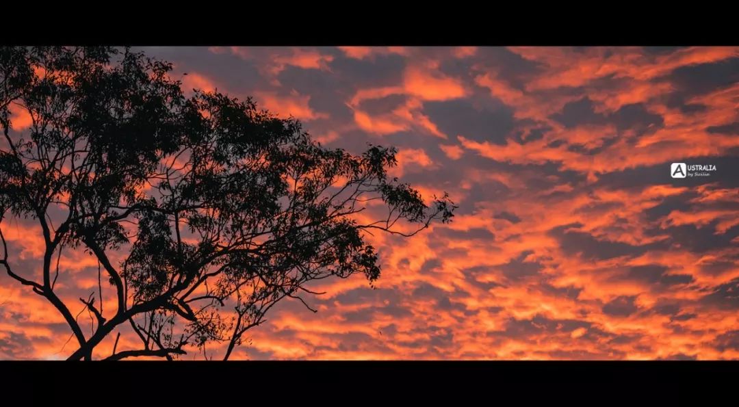 澳洲必去的几个地方,澳大利亚哪些景点值得去