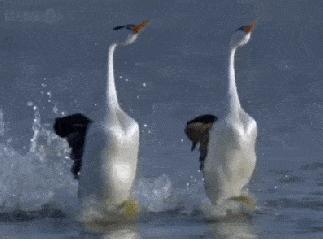 提高睡眠质量护颈椎枕头,枕头中的奢侈品