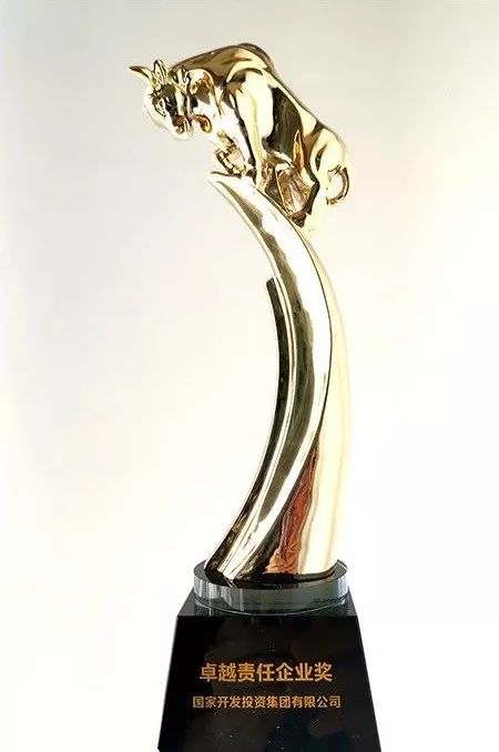 奖奖奖奖奖！年终收获季，国投获卓越责任企业等一波大奖
