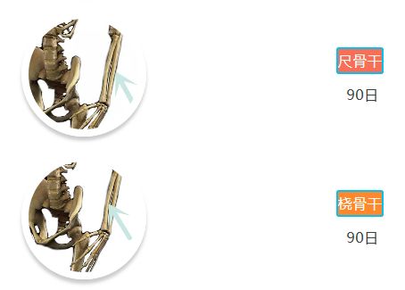 「骨科康复」骨折愈合分期和愈合时间