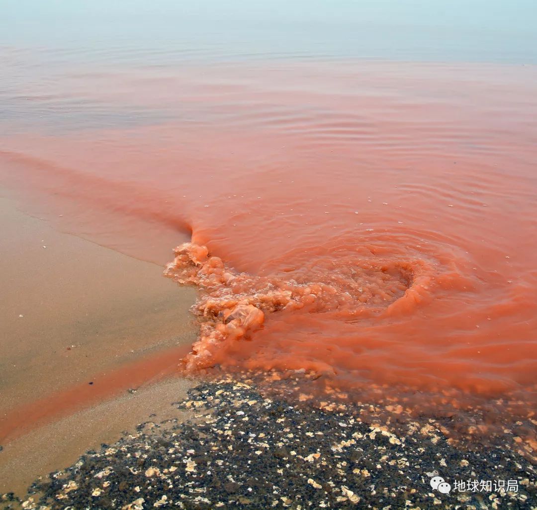 沿海人民是如何喂饱中国的？
