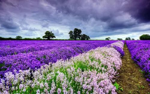 spa绮炬补缇庡鎵嬪,绮炬补spa鎵嬮儴