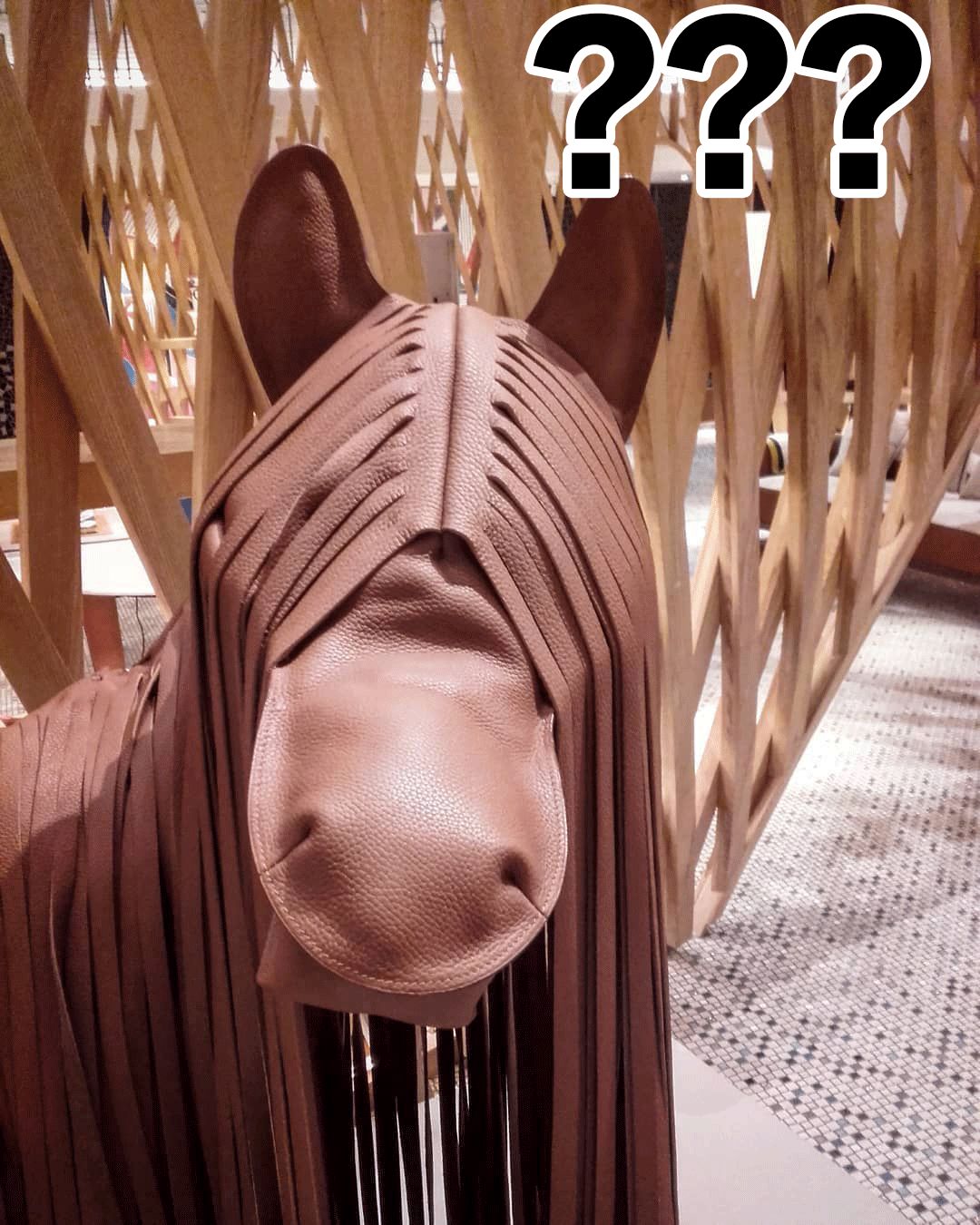 贵妇买包包,贵妇开箱爱马仕