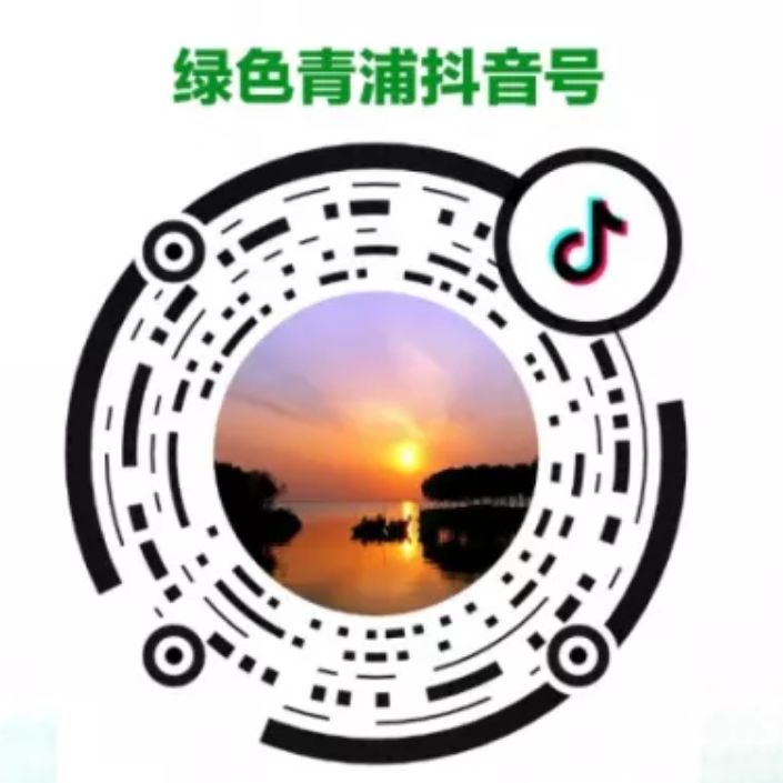 上海美都公司怎么样,上海美都有限公司