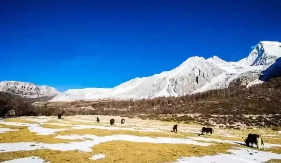冬天的稻城亚丁,冬天的四川稻城亚丁旅游攻略