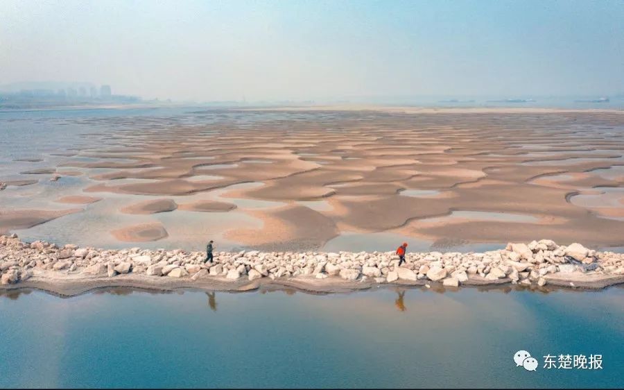 365天，行走3.2万千米，拍摄13万张照片！黄石人到底有多“野”？