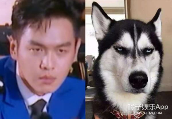 赵丽颖王一博录节目蓝色吊带上衣,赵丽颖王一博快本对视说话