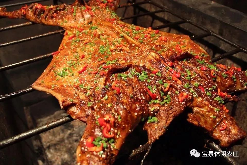 柳城周边游玩景点推荐,柳北旅游推荐