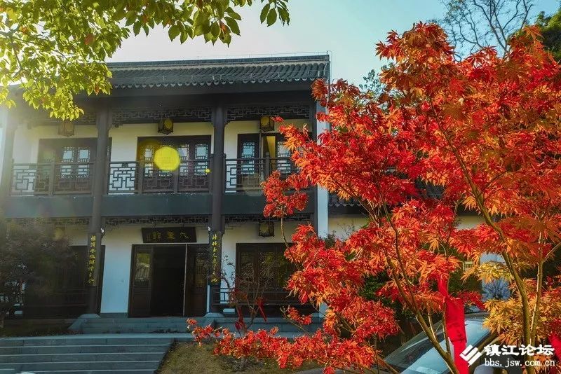 过年去镇江一日游去哪里好,镇江过年去哪儿旅游合适