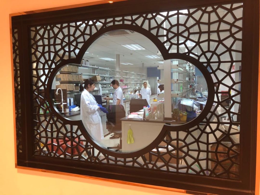 华西医院近期对外招聘,华西医院招聘医生条件