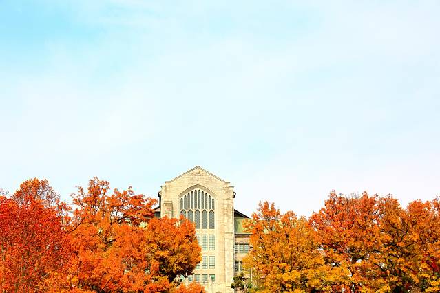 去韩国购物不超过多少钱,去韩国不美容不购物去哪里