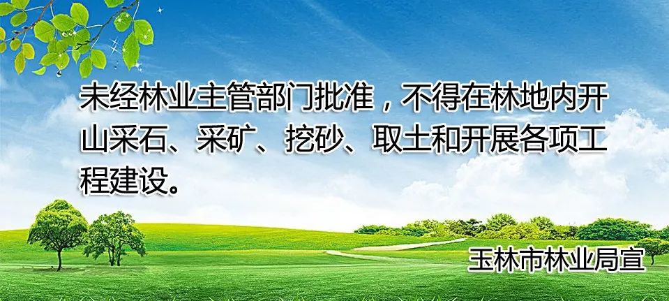 玉林新智程东方巴黎国际幼儿园,广西玉林容县灵山英豪幼儿园