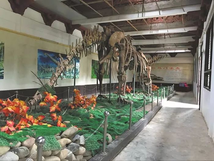 安岳圆觉洞的历史文化,安岳圆觉洞讲解