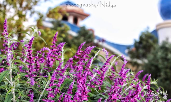 寻甸阿拉丁小镇一千零一夜,谈谈寻甸阿拉丁童话小镇