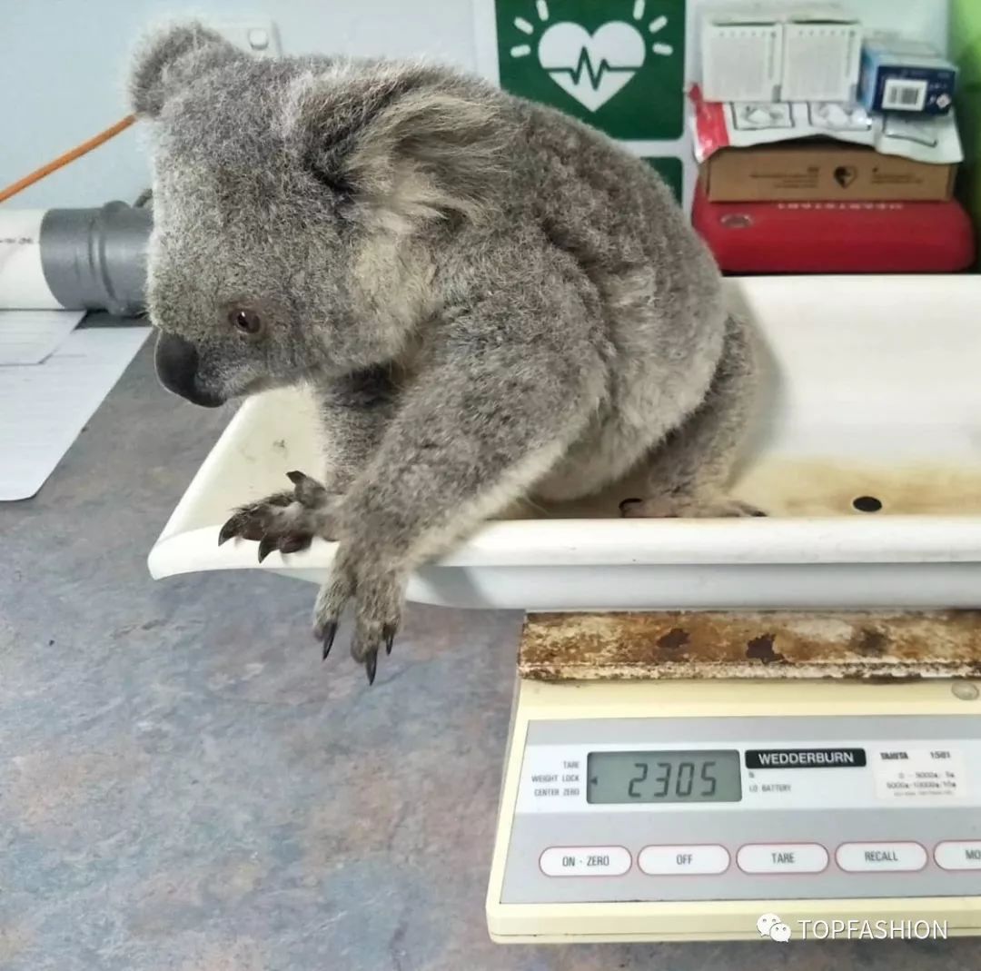 赔偿奢侈品包包,guccibalenciaga联名溢价