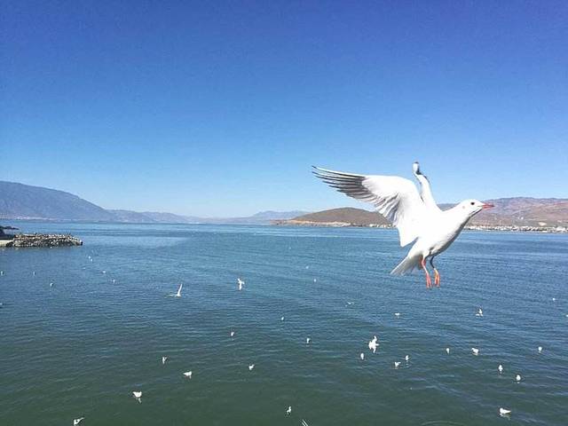 昆明大理丽江6日游免费,昆明大理丽江6日游纯玩团