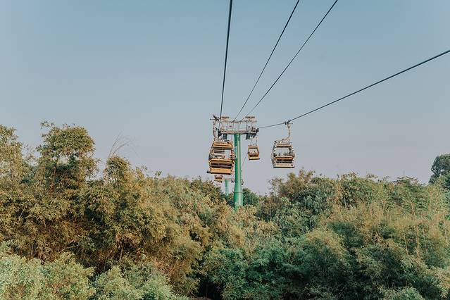 广州长隆野生动物世界旅游攻略,暖冬长隆3天2晚