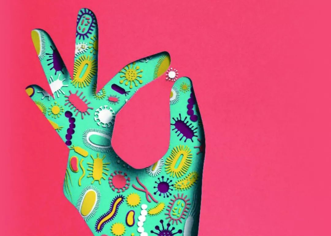 我们身上神秘的微生物群