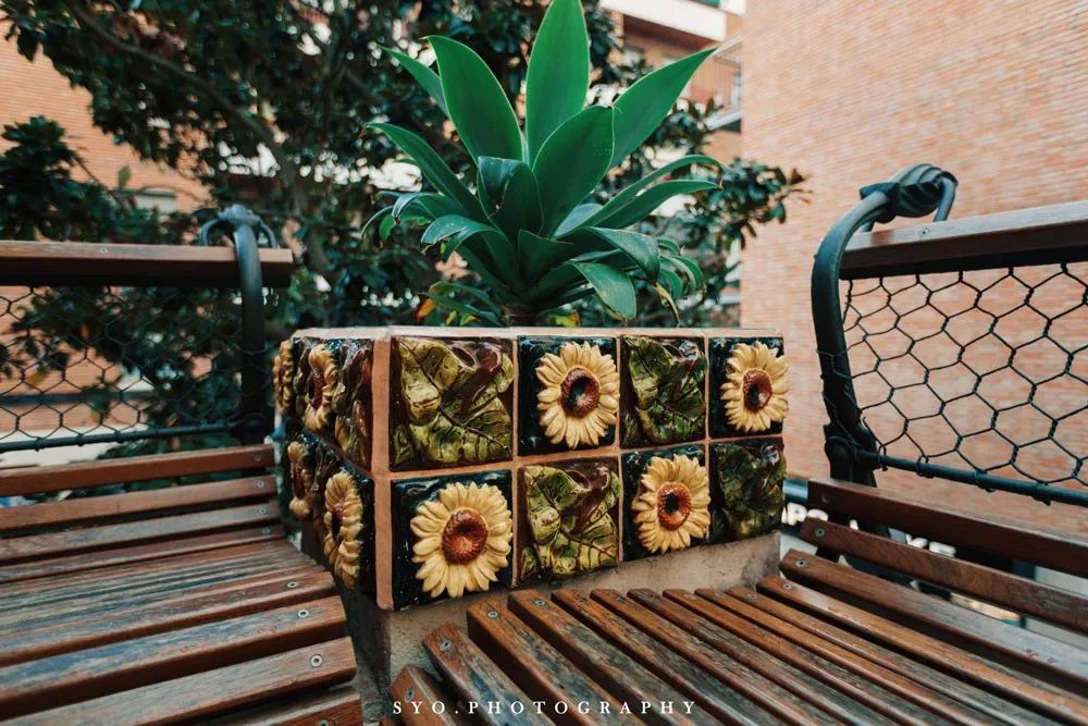 西班牙｜高迪文森之家（CasaVicens）独家中文导览团上线了