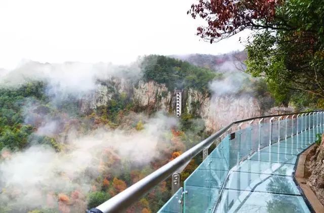 奉化旅游散客游线路,奉化的旅游线路推荐