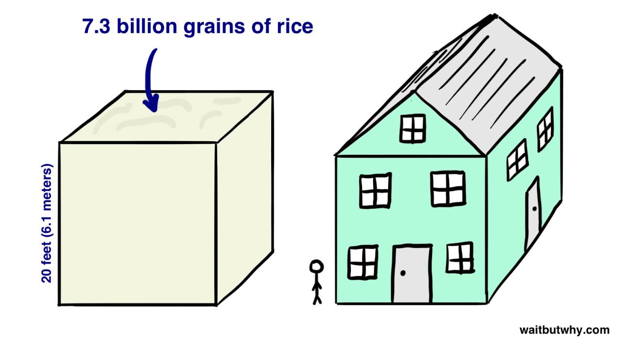 把73亿人塞到一栋楼里面,会发生什么?