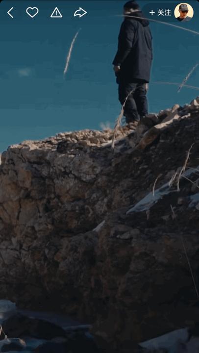 本来想去薅羊毛，却沉迷在这张“活的”地图上……