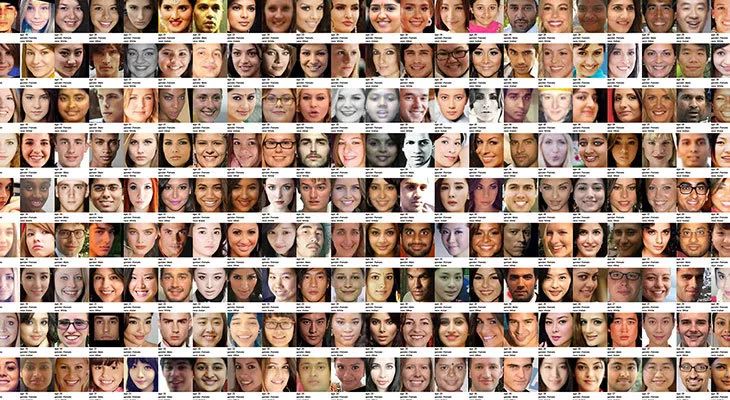 解决问题的人：人工智能系统的解剖学