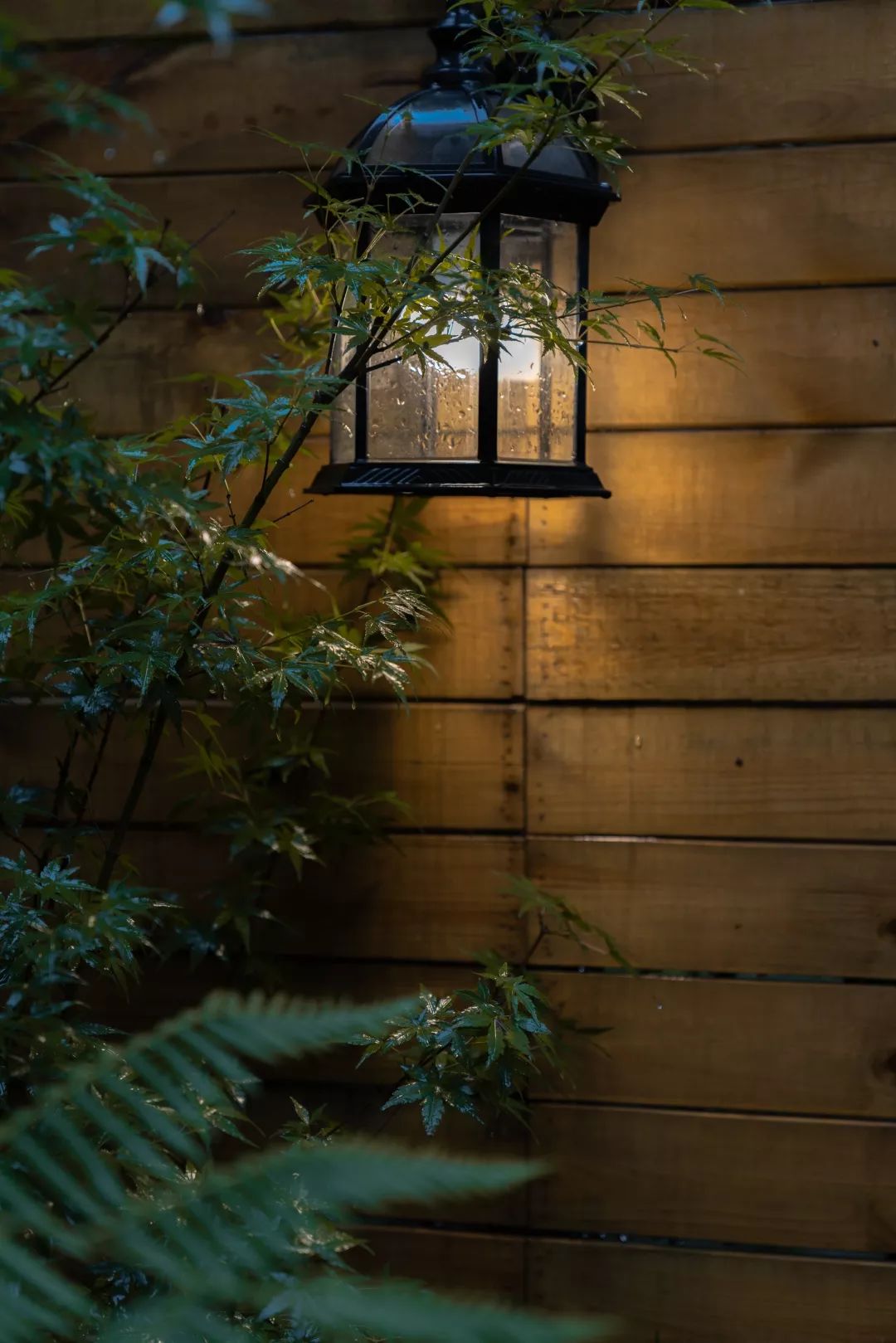 她家院子比房子还大，足足有80m²，在城里也能过得像李子柒