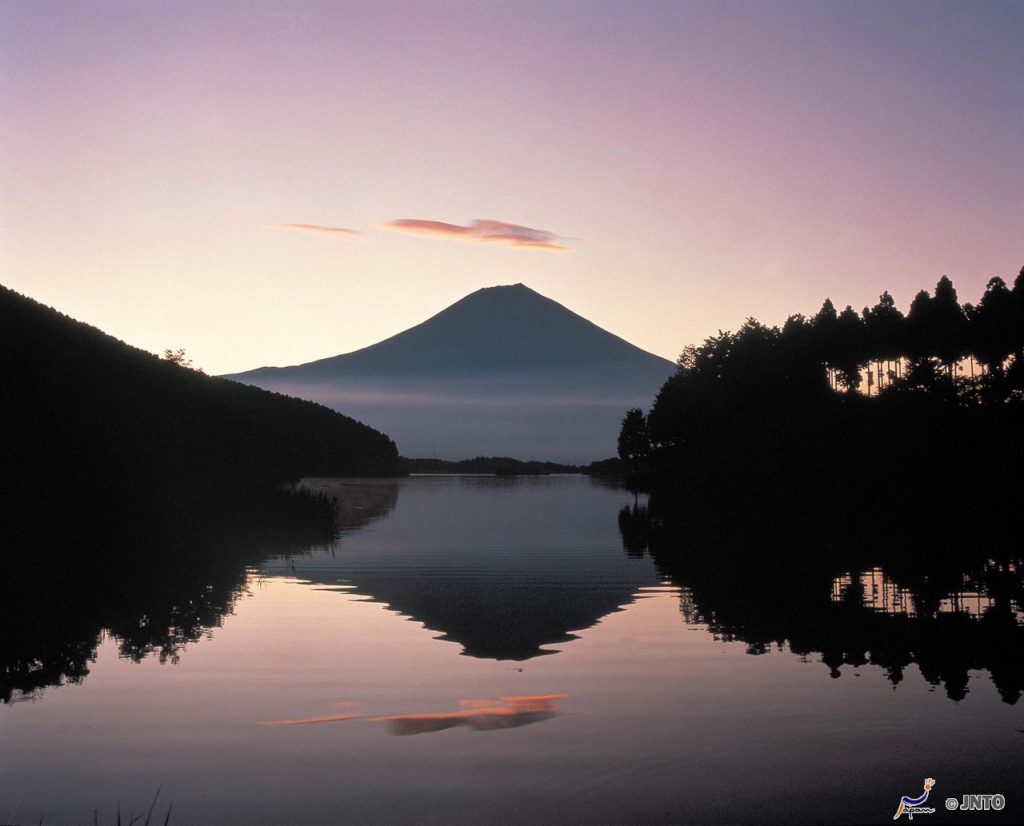 日本四季樱花富士山,日本樱花包