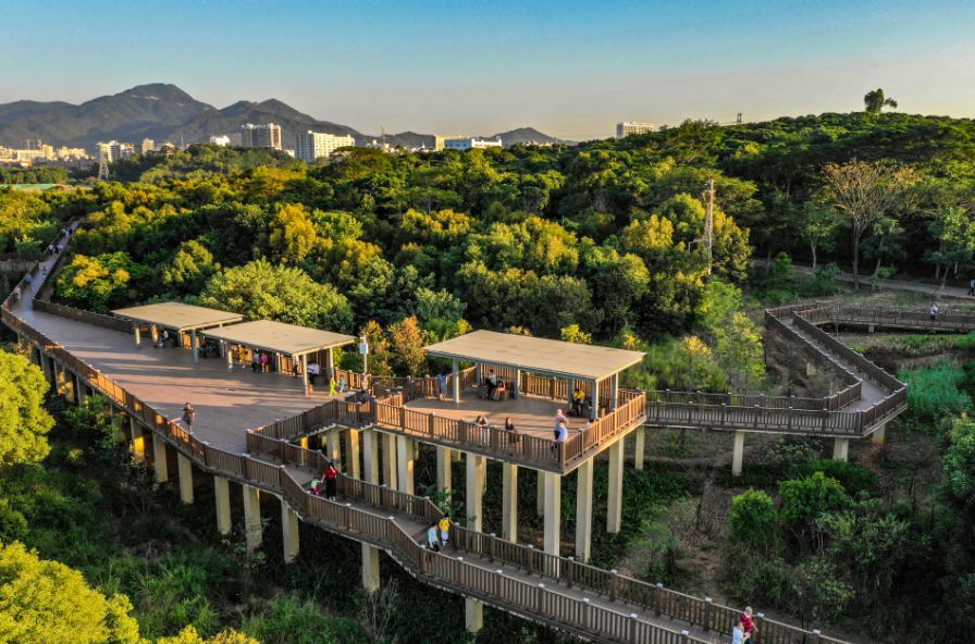 深圳市最新步道,深圳十佳绿道