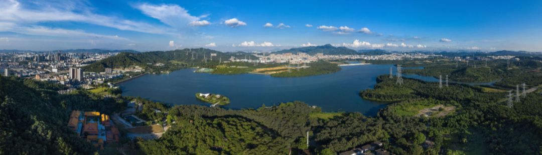 深圳市最新步道,深圳十佳绿道