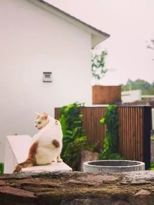 从上海去江浙自驾游2天推荐,适合冬天自驾游的温泉