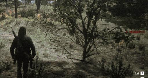 r星外挂,r星所有细节