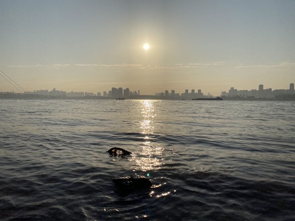 用了两年的苹果11promax续航,苹果11promax和12promax续航对比