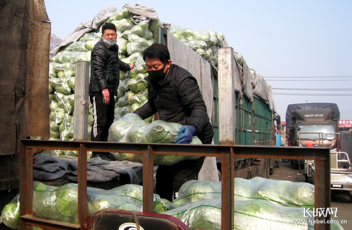 石家庄桥西蔬菜批发今日价格行情,今日石家庄桥西蔬菜水果批发价格