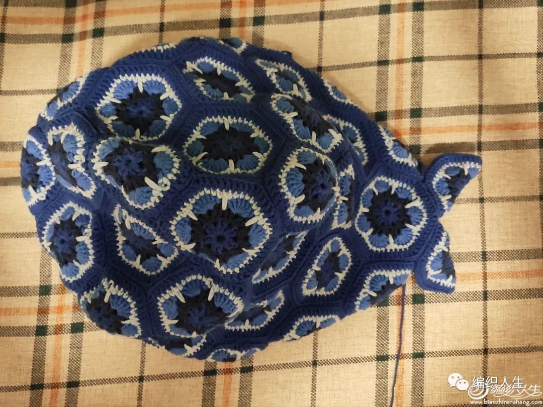 新手也能学会!毛线编织钩针非洲菊拼花鲸鱼(附图解)