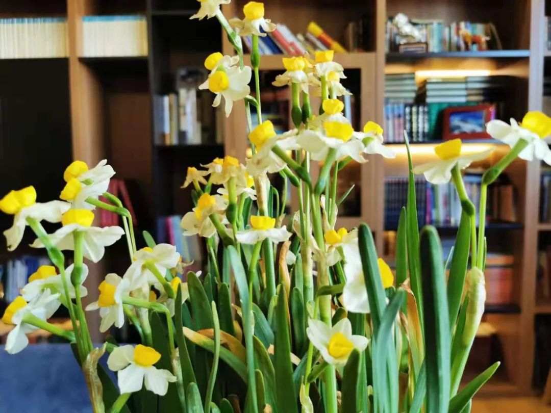 老俞的生活日记,老俞疫情日记