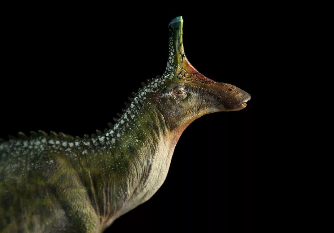 中国最厉害的十大恐龙,恐龙中国第一龙