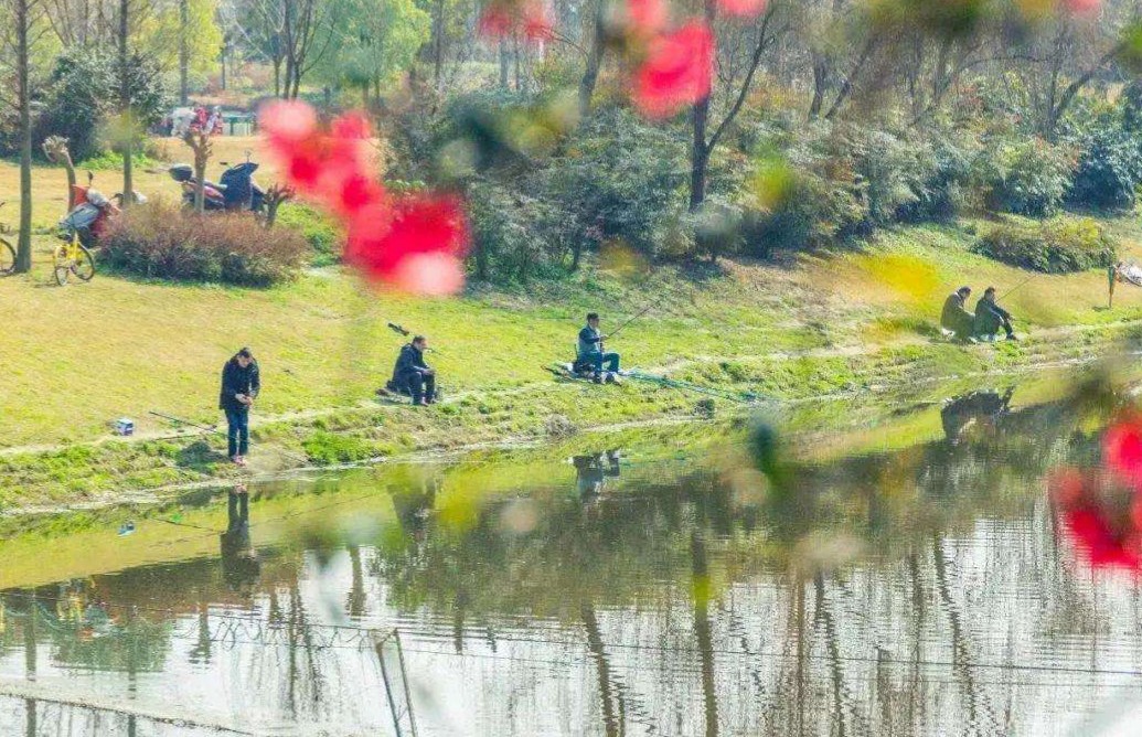 冬季抛竿钓鱼技巧选钓位和时间,抛竿野钓鲫鱼技巧